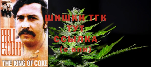 ГАЛЛЮЦИНОГЕННЫЕ ГРИБЫ Алексеевка