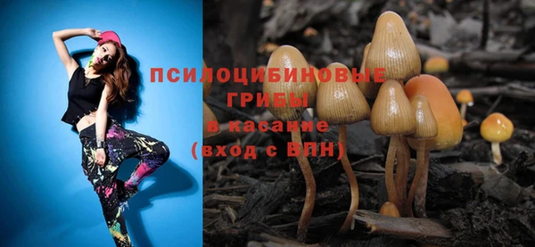 амф Алексин