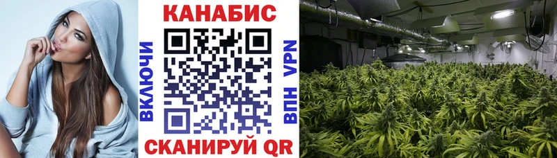 Конопля White Widow  hydra рабочий сайт  Гдов  где купить наркоту 